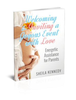 https://sheila-kennedy.com/wp-content/uploads/2023/01/Welcoming-Cover-3D-1-300x395.png