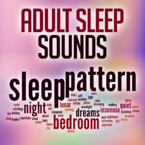 https://sheila-kennedy.com/wp-content/uploads/2023/02/Adult-Sleep-Sounds-1-300x300.jpg