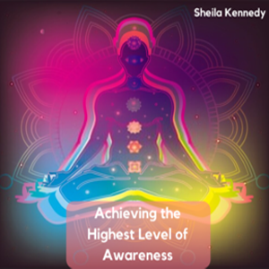 https://sheila-kennedy.com/wp-content/uploads/2023/04/Awareness-2-High-Levels-of-Awareness-300x251-2.png