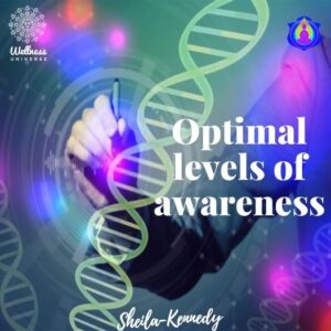 https://sheila-kennedy.com/wp-content/uploads/2023/04/Awareness-3-Optimal-Awareness-300x300-1.jpg