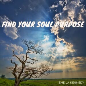https://sheila-kennedy.com/wp-content/uploads/2023/04/Soul-Purpose-300x300-1.jpg