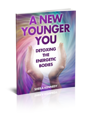 https://sheila-kennedy.com/wp-content/uploads/2024/01/ANYY-Detox-Energetic-Bodies-3D-FINAL-300x395.png